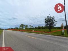 ขายที่ดิน เนื้อที่ 21 ไร่ 1 งาน พรเจริญ บึงกาฬ-202509221439101758526750899.jpg