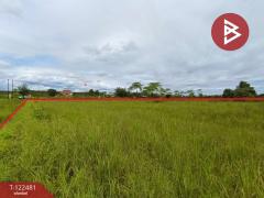 ขายที่ดิน เนื้อที่ 21 ไร่ 1 งาน พรเจริญ บึงกาฬ-202509221439111758526751963.jpg