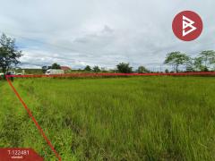 ขายที่ดิน เนื้อที่ 21 ไร่ 1 งาน พรเจริญ บึงกาฬ-202509221439121758526752485.jpg