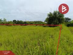 ขายที่ดิน เนื้อที่ 21 ไร่ 1 งาน พรเจริญ บึงกาฬ-202509221439141758526754079.jpg