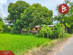 ขายที่ดิน เนื้อที่ 2 ไร่ 3 งาน ดอนเจดีย์ สุพรรณบุรี