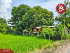 ขายที่ดิน เนื้อที่ 2 ไร่ 3 งาน ดอนเจดีย์ สุพรรณบุรี-202509221451061758527466219.jpg