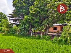 ขายที่ดิน เนื้อที่ 2 ไร่ 3 งาน ดอนเจดีย์ สุพรรณบุรี-202509221451061758527466748.jpg