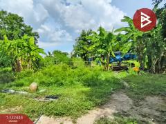 ขายที่ดิน เนื้อที่ 2 ไร่ 3 งาน ดอนเจดีย์ สุพรรณบุรี-202509221451081758527468331.jpg