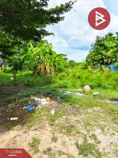 ขายที่ดิน เนื้อที่ 2 ไร่ 3 งาน ดอนเจดีย์ สุพรรณบุรี-202509221451081758527468854.jpg