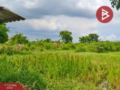 ขายที่ดิน เนื้อที่ 2 ไร่ 3 งาน ดอนเจดีย์ สุพรรณบุรี-202509221451091758527469372.jpg