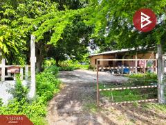 ขายที่ดิน เนื้อที่ 2 ไร่ 3 งาน ดอนเจดีย์ สุพรรณบุรี-202509221451091758527469895.jpg