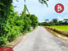 ขายที่ดิน เนื้อที่ 2 ไร่ 3 งาน ดอนเจดีย์ สุพรรณบุรี-202509221451101758527470425.jpg