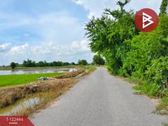 ขายที่ดิน เนื้อที่ 2 ไร่ 3 งาน ดอนเจดีย์ สุพรรณบุรี-202509221451101758527470944.jpg