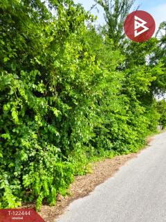 ขายที่ดิน เนื้อที่ 2 ไร่ 3 งาน ดอนเจดีย์ สุพรรณบุรี-202509221451111758527471973.jpg