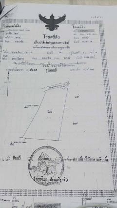 ขายด่วน!! ที่ดิน 3 แปลง 50 ไร่ และ ยกผืน 159 ไร่ ติดถนนใหญ่ 4 เลน เหมาะทำโรงงาน ต.หนองกลับ อ.หนองบัว จ.นครสวรรค์-202509221506251758528385272.jpg