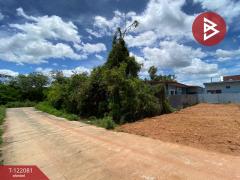 ขายที่ดิน เนื้อที่ 44 ตร.วา บางกล่ำ สงขลา-202509221554041758531244640.jpg