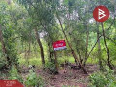 ขายที่ดิน-เนื้อที่-262.2-ตารางวา-ต.เพ-ระ