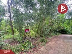 ขายที่ดิน เนื้อที่ 262.2 ตารางวา ต.เพ ระยอง ใกล้ทะเล-202509221628151758533295616.jpg