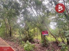 ขายที่ดิน เนื้อที่ 262.2 ตารางวา ต.เพ ระยอง ใกล้ทะเล-202509221628161758533296172.jpg