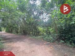 ขายที่ดิน เนื้อที่ 262.2 ตารางวา ต.เพ ระยอง ใกล้ทะเล-202509221628161758533296978.jpg