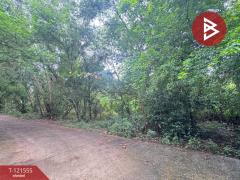 ขายที่ดิน เนื้อที่ 262.2 ตารางวา ต.เพ ระยอง ใกล้ทะเล-202509221628171758533297535.jpg