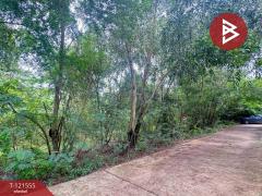 ขายที่ดิน เนื้อที่ 262.2 ตารางวา ต.เพ ระยอง ใกล้ทะเล-202509221628181758533298094.jpg