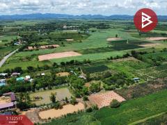 ขายที่ดิน เนื้อที่ 18 ไร่ 1 งาน 95 ตร.วา ท่าม่วง กาญจนบุรี-202509221704511758535491981.jpg