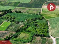 ขายที่ดิน เนื้อที่ 18 ไร่ 1 งาน 95 ตร.วา ท่าม่วง กาญจนบุรี-202509221704521758535492511.jpg