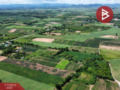 ขายที่ดิน เนื้อที่ 18 ไร่ 1 งาน 95 ตร.วา ท่าม่วง กาญจนบุรี-202509221704531758535493101.jpg