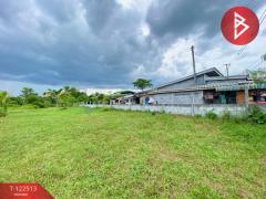 ขายที่ดิน เนื้อที่ 1 ไร่ 3 งาน 22.5 ตารางวา ชะอวด นครศรีธรรมราช-202509221714091758536049486.jpg