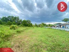 ขายที่ดิน เนื้อที่ 1 ไร่ 3 งาน 22.5 ตารางวา ชะอวด นครศรีธรรมราช-202509221714101758536050143.jpg