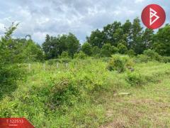 ขายที่ดิน เนื้อที่ 1 ไร่ 3 งาน 22.5 ตารางวา ชะอวด นครศรีธรรมราช-202509221714101758536050644.jpg