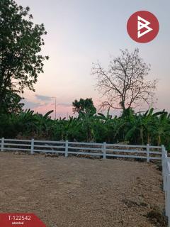 ขายที่ดินถมแล้ว เนื้อที่ 61.2 ตร.วา บ้านยาง นครปฐม-202509221733381758537218117.jpg