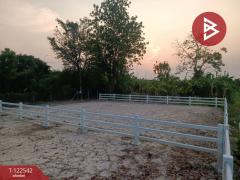 ขายที่ดินถมแล้ว เนื้อที่ 61.2 ตร.วา บ้านยาง นครปฐม-202509221733391758537219185.jpg