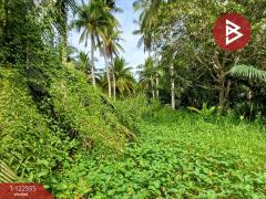 ขายบ้านเดี่ยว เนื้อที่ 3 งาน 31 ตร.วา คลองเขิน สมุทรสงคราม-202509221921291758543689520.jpg