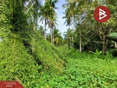 ขายบ้านเดี่ยว เนื้อที่ 3 งาน 31 ตร.วา คลองเขิน สมุทรสงคราม-202509221921301758543690067.jpg