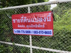 ขายที่ดิน 23 ไร่ ติดถนนเลียบคลองระพีพัฒน์ คลอง 13 หนองเสือ ปทุมธานี 098 7755 808-202509222146361758552396380.jpg