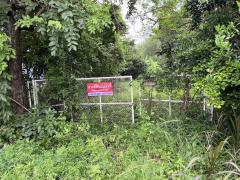 ขายที่ดิน 23 ไร่ ติดถนนเลียบคลองระพีพัฒน์ คลอง 13 หนองเสือ ปทุมธานี 098 7755 808-202509222146401758552400677.jpg