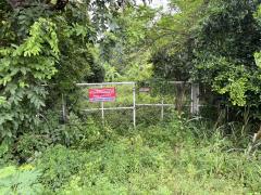 ขายที่ดิน 23 ไร่ ติดถนนเลียบคลองระพีพัฒน์ คลอง 13 หนองเสือ ปทุมธานี 098 7755 808-202509222147061758552426542.jpg