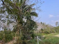 โอกาสทอง ที่ดินทำเลดี ใกล้แหล่งน้ำธรรมชาติ   ต.สองพี่น้อง อ.ท่าใหม่ จ.จันทบุรี