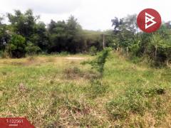 ขายที่ดิน-เนื้อที่-1-งาน-พานทอง-ชลบุร