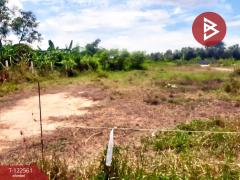 ขายที่ดิน เนื้อที่ 1 งาน พานทอง ชลบุรี-202509231035171758598517592.jpg