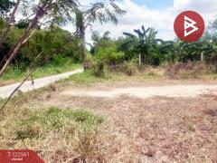 ขายที่ดิน เนื้อที่ 1 งาน พานทอง ชลบุรี-202509231035181758598518115.jpg