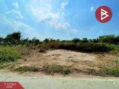 ขายที่ดิน เนื้อที่ 1 งาน พานทอง ชลบุรี-202509231035181758598518643.jpg