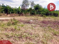 ขายที่ดิน เนื้อที่ 1 งาน พานทอง ชลบุรี-202509231035191758598519166.jpg