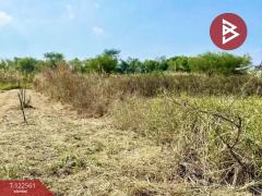 ขายที่ดิน เนื้อที่ 1 งาน พานทอง ชลบุรี-202509231035191758598519697.jpg