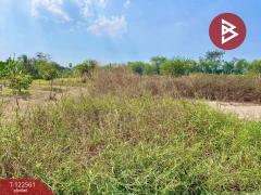 ขายที่ดิน เนื้อที่ 1 งาน พานทอง ชลบุรี-202509231035201758598520745.jpg