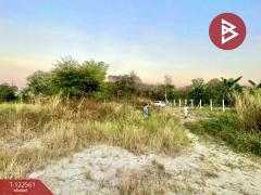 ขายที่ดิน เนื้อที่ 1 งาน พานทอง ชลบุรี-202509231035211758598521278.jpg