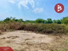 ขายที่ดิน เนื้อที่ 1 งาน พานทอง ชลบุรี-202509231035211758598521805.jpg