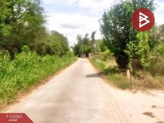 ขายที่ดิน เนื้อที่ 1 งาน พานทอง ชลบุรี-202509231035221758598522332.jpg