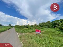 ขายที่ดิน เนื้อที่ 25 ไร่ 3 งาน 45.8 ตร.วา อุบลรัตน์ ขอนแก่น-202509231113041758600784247.jpg