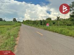 ขายที่ดิน เนื้อที่ 25 ไร่ 3 งาน 45.8 ตร.วา อุบลรัตน์ ขอนแก่น-202509231113041758600784771.jpg