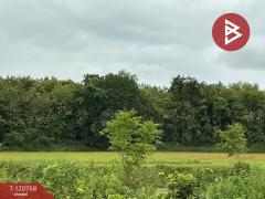 ขายที่ดิน เนื้อที่ 25 ไร่ 3 งาน 45.8 ตร.วา อุบลรัตน์ ขอนแก่น-202509231113051758600785816.jpg