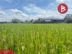 ขายที่ดินที่นา เนื้อที่ 2 ไร่ 3 งาน 94 ตารางวา บ้านยางคราม อ.ดอยหล่อ เชียงใหม่